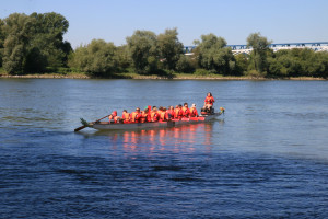 Drachenbootrennen auf der Donau