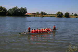 Drachenbootrennen auf der Donau